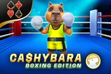 Cashybara Boxing Edition